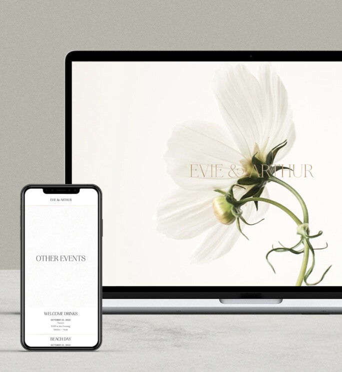 free wedding websites pros and cons