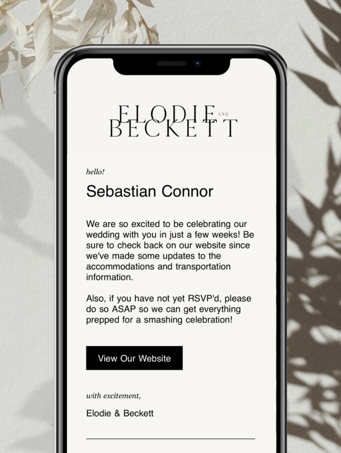 rsvp reminder email from wedding website